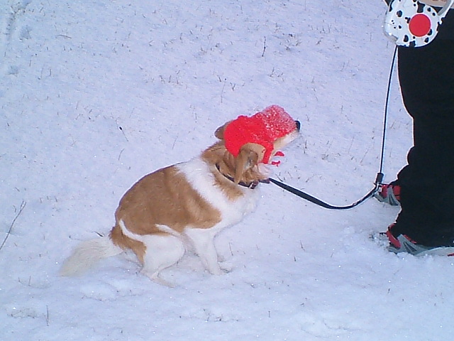 Snímek 038.jpg